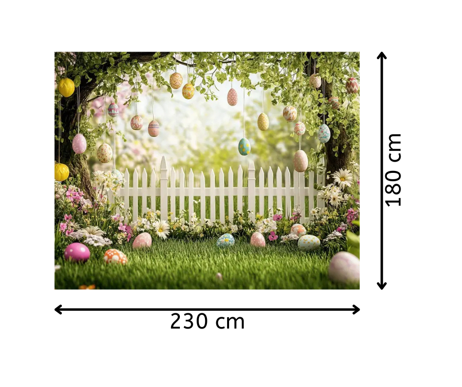 Location de fond de studio photo